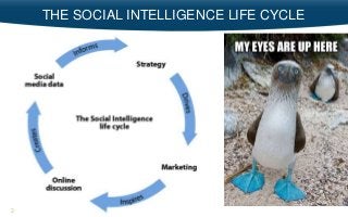 38
THE SOCIAL INTELLIGENCE LIFE CYCLE
 