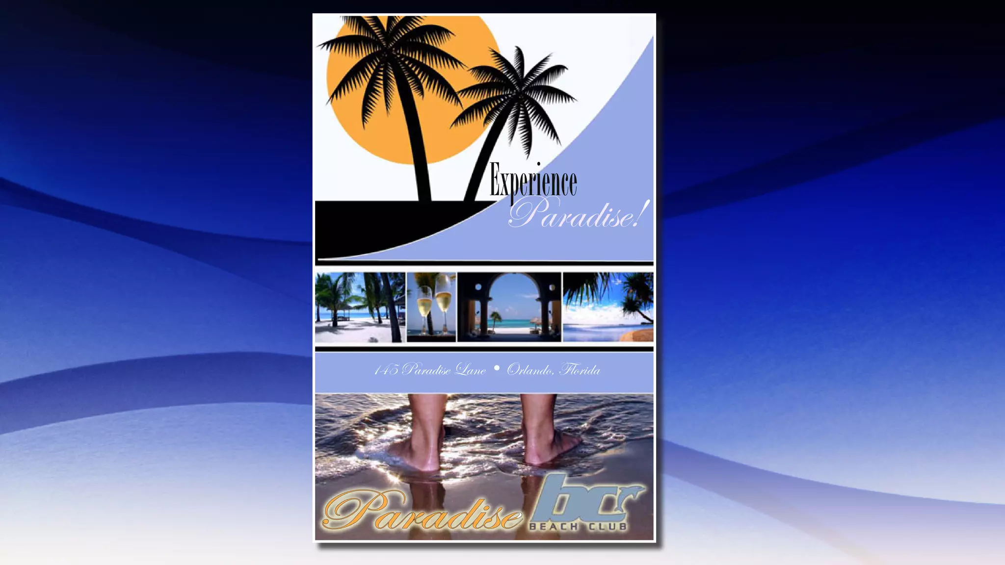 Infinite Dig Portfolio Opt