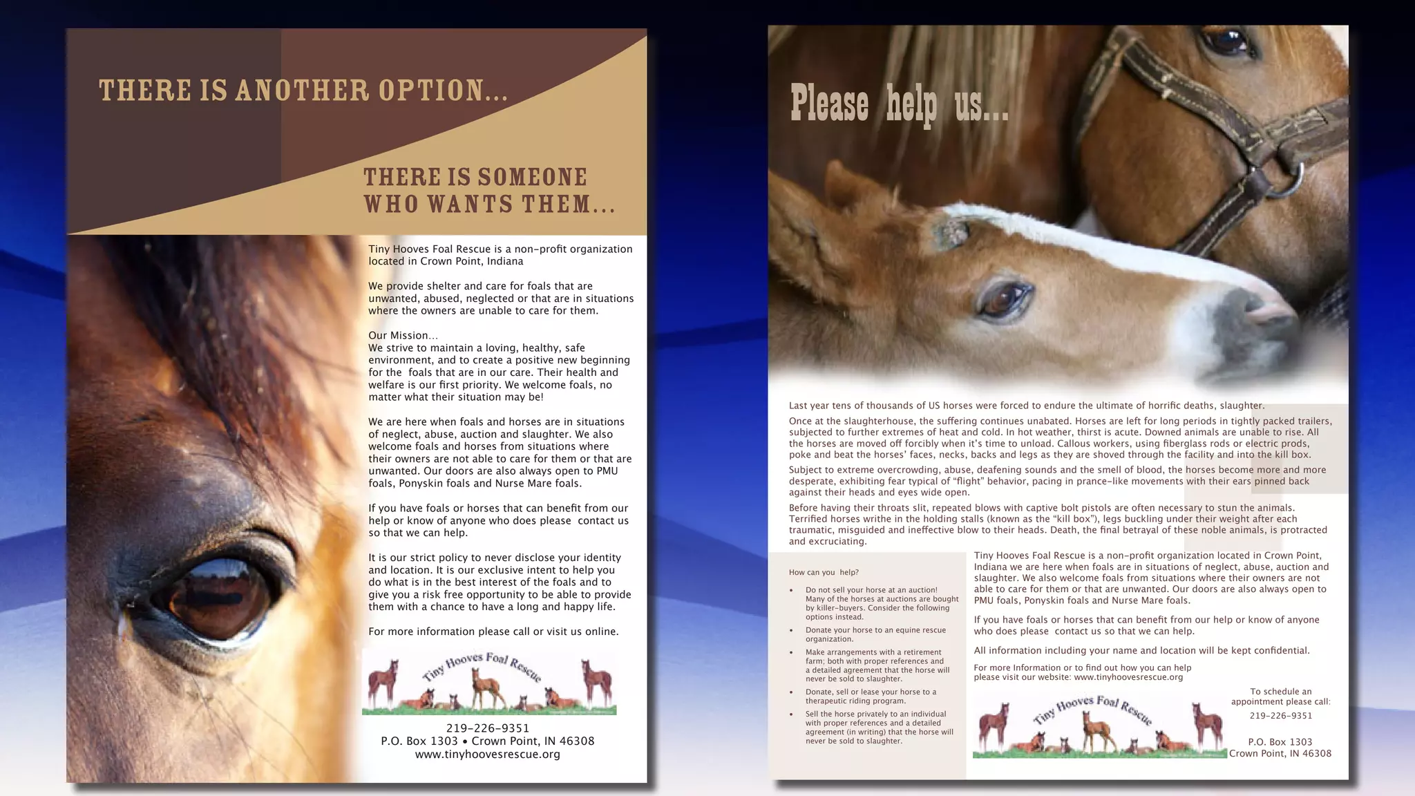 Infinite Dig Portfolio Opt