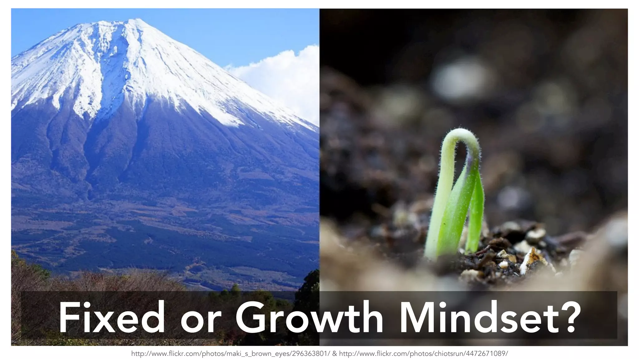 Fixed or Growth Mindset? 
http://www.flickr.com/photos/maki_s_brown_eyes/296363801/ & http://www.flickr.com/photos/chiotsrun/4472671089/ 
 