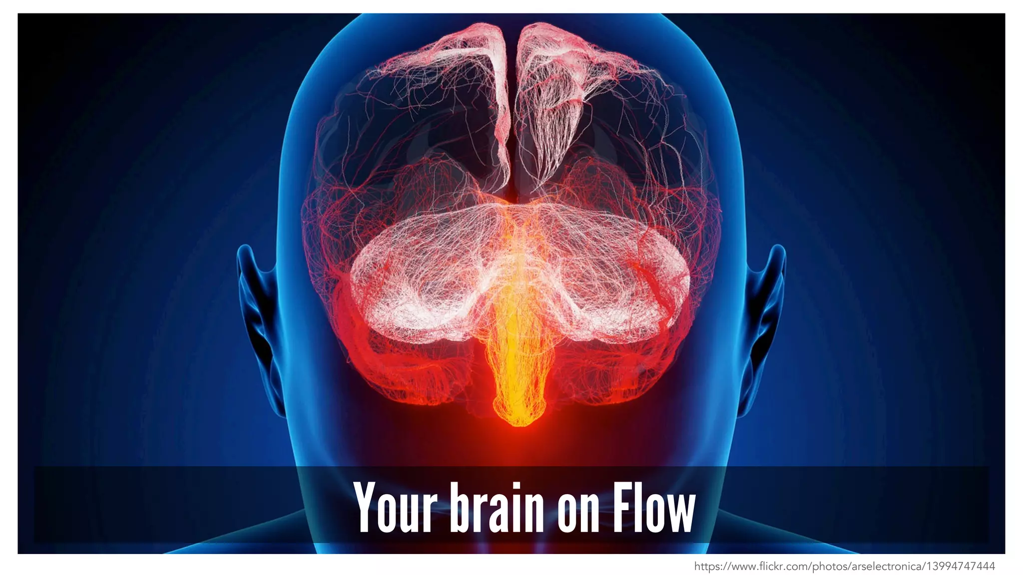 Your brain on Flow 
https://www.flickr.com/photos/arselectronica/13994747444 
 