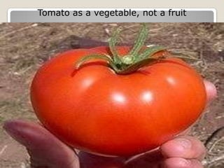 Tomato as a vegetable, not a fruit
 