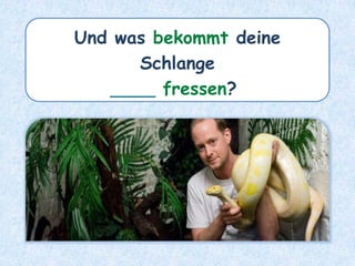 Und was bekommt deine
Schlange
____ fressen?
 