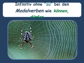 Infinitiv ohne “zu” bei den
Modalverben wie können,
dürfen . . .
 