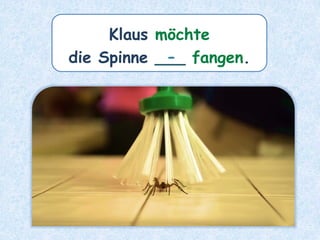 Klaus möchte
die Spinne ___ fangen.
-
 