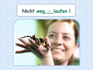 Nicht weg___laufen !
-
 