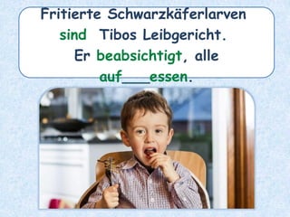 Fritierte Schwarzkäferlarven
sind Tibos Leibgericht.
Er beabsichtigt, alle
auf___essen.
 