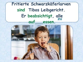 Fritierte Schwarzkäferlarven
sind Tibos Leibgericht.
Er beabsichtigt, alle
auf___essen.
zu
 