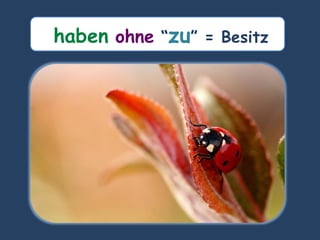 haben ohne “zu” = Besitz
 