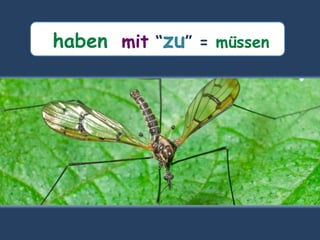 haben mit “zu” = müssen
 