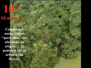 Começamos nossa viagem “para cima” nos afastando da origem ...  já podemos ver os arbustos da floresta 10 1   10 metros 
