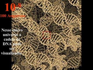 Nesse micro universo a cadeia de DNA pode ser visualizada.  10 -8 100 Angstrons 