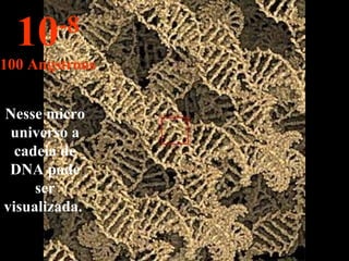 Nesse micro universo a cadeia de DNA pode ser visualizada.  10 -8 100 Angstrons 