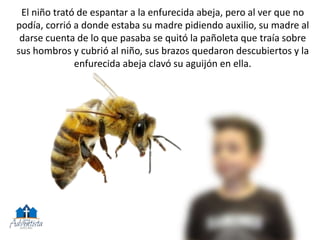 El niño trató de espantar a la enfurecida abeja, pero al ver que no
podía, corrió a donde estaba su madre pidiendo auxilio, su madre al
darse cuenta de lo que pasaba se quitó la pañoleta que traía sobre
sus hombros y cubrió al niño, sus brazos quedaron descubiertos y la
enfurecida abeja clavó su aguijón en ella.
 