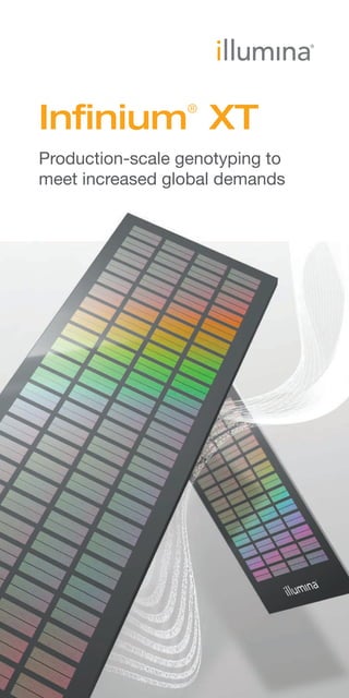 Illumina Infinium XT brochure | PDF