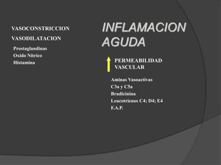 Lentificación o retraso de la circulación:      de la permeabilidad 