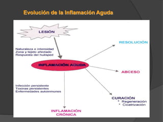 Expresión de superficie 