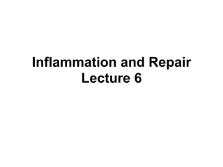 Inflammation and Repair
Lecture 6
 