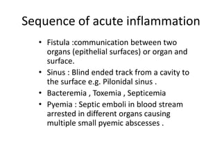 • Fistula :communication between two
organs (epithelial surfaces) or organ and
surface.
• Sinus : Blind ended track from a cavity to
the surface e.g. Pilonidal sinus .
• Bacteremia , Toxemia , Septicemia
• Pyemia : Septic emboli in blood stream
arrested in different organs causing
multiple small pyemic abscesses .
Sequence of acute inflammation
 