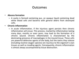 Outcomes
• Abscess formation
– A cavity is formed containing pus, an opaque liquid containing dead
white blood cells and bacteria with general debris from destroyed
cells.
• Chronic inflammation
– In acute inflammation, if the injurious agent persists then chronic
inflammation will ensue. This process, marked by inflammation lasting
many days, months or even years, may lead to the formation of a
chronic wound. Chronic inflammation is characterized by the
dominating presence of macrophages in the injured tissue. These cells
are powerful defensive agents of the body, but the toxins they release
(including reactive oxygen species) are injurious to the organism's own
tissues as well as invading agents. Consequently, chronic inflammation
is almost always accompanied by tissue destruction.
 