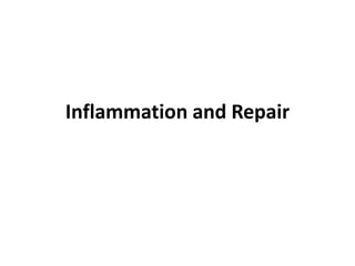 Inflammation and Repair
 
