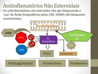 Antiinflamatórios Não Esteroidais
• Os antiinflamatórios não esteróides irão agir bloqueando o
  ‘uso’ do Ácido Araquidônico pelas COX. (AINES não bloqueiam
  Leucotrienos)

                         Fosfolipídios
   AINE
                                                     Fosfolipase
            COX1                 Ác.                     A2
                             Araquidônico
                                                    LIPOX*

             COX2
                              PGG2          Leucotrienos



     Prostaglandinas          Prostaciclinas        Tromboxanos
 