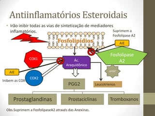 Antiinflamatórios Esteroidais
  • Irão inibir todas as vias de sintetização de mediadores
    inflamatórios.                                         Suprimem a
                                                                  Fosfolipase A2
            Lesão
                                Fosfolipídios                           AIE


                                                                Fosfolipase
                COX1                     Ác.                        A2
                                     Araquidônico
                                                               LIPOX*
   AIE
                COX2
Inibem as COX
                                       PGG2            Leucotrienos



      Prostaglandinas                  Prostaciclinas          Tromboxanos

  Obs.Suprimem a FosfolipaseA2 através das Anexinas.
 