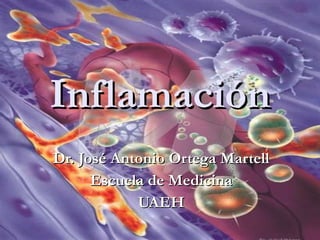 Inflamación Dr. José Antonio Ortega Martell Escuela de Medicina UAEH 