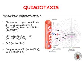 3. Citocinasproinflamatorias