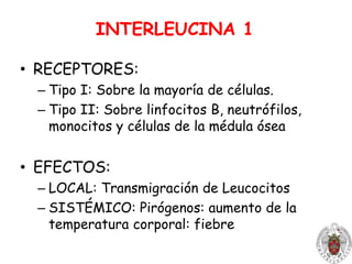 INTERLEUCINA 6PRODUCTORES: Linfocitos Th2 y Macrófagos, FibroblastosACTÚA SOBRE:	Fundamentalmente sobre hepatocitos 