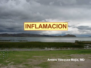 INFLAMACION Antero Vásquez Mejía, MD 