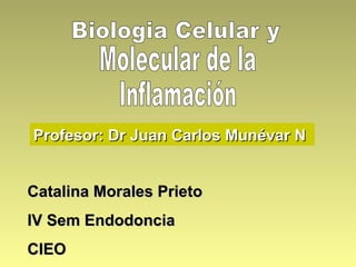 Profesor: Dr Juan Carlos Munévar N


Catalina Morales Prieto
IV Sem Endodoncia
CIEO
 