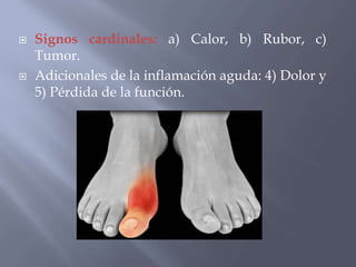 



Signos cardinales: a) Calor, b) Rubor, c)
Tumor.
Adicionales de la inflamación aguda: 4) Dolor y
5) Pérdida de la función.

 