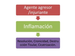 Agente agresor
/injuriante
Inflamación
Resolución, Cronicidad, Destru
cción Tisular, Cicatrización.
 