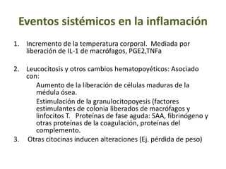 Eventos sistémicos en la inflamación
1. Incremento de la temperatura corporal. Mediada por
liberación de IL-1 de macrófagos, PGE2,TNFa
2. Leucocitosis y otros cambios hematopoyéticos: Asociado
con:
Aumento de la liberación de células maduras de la
médula ósea.
Estimulación de la granulocitopoyesis (factores
estimulantes de colonia liberados de macrófagos y
linfocitos T. Proteínas de fase aguda: SAA, fibrinógeno y
otras proteínas de la coagulación, proteínas del
complemento.
3. Otras citocinas inducen alteraciones (Ej. pérdida de peso)
 