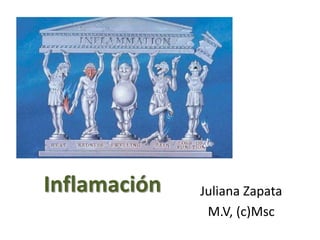 Inflamación Juliana Zapata
M.V, (c)Msc
 