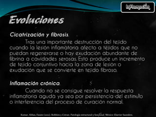 Kumar, Abbas, Fausto (2012). Robbins y Cotran. Patología estructural y funcional. México: Elsevier Saunders. 
 