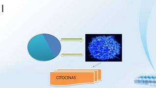 |
CITOCINAS
 