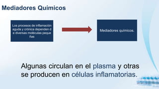 Mediadores Químicos
Los procesos de inflamación
aguda y crónica dependen d
e diversas moléculas peque
ñas
Mediadores químicos.
Algunas circulan en el plasma y otras
se producen en células inflamatorias.
 