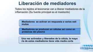 Liberación de mediadores
Todos los tejidos al lesionarse van a liberar mediadores de la
inflamación (Su fuente principal es el mastocito)
Mediadores se activan en respuesta a varios estí
mulos
Mediadores se producen en células así como en
proteínas del plasma
Una vez activados y liberados de la célula, la mayo
ría de estos mediadores tiene vida media corta
 