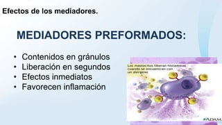 Efectos de los mediadores.
MEDIADORES PREFORMADOS:
• Contenidos en gránulos
• Liberación en segundos
• Efectos inmediatos
• Favorecen inflamación
 