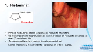 1. Histamina:
• Principal mediador de etapas tempranas de respuesta inflamatoria
• Se libera mediante la desgranulación de las cél. Cebadas en respuesta a diversas se
ñales (Traumatismo, frio)
• Produce vasodilatación e incremento en la permeabilidad.
La más importante y más abundante , se localiza en todo el cuerpo.
 