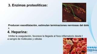 3. Enzimas proteolíticas:
Producen vasodilatación, estimulan terminaciones nerviosas del dolo
r.
4. Heparina:
Inhibe la coagulación, favorece la llegada al foco inflamatorio desde l
a sangre de moléculas y células
 