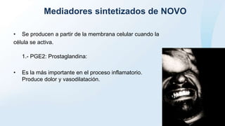 Mediadores sintetizados de NOVO
• Se producen a partir de la membrana celular cuando la
célula se activa.
1.- PGE2: Prostaglandina:
• Es la más importante en el proceso inflamatorio.
Produce dolor y vasodilatación.
 