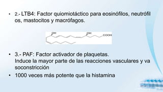 • 2.- LTB4: Factor quiomiotáctico para eosinófilos, neutrófil
os, mastocitos y macrófagos.
• 3.- PAF: Factor activador de plaquetas.
Induce la mayor parte de las reacciones vasculares y va
soconstricción
• 1000 veces más potente que la histamina
 