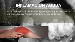 INFLAMACION AGUDA
• Es una respuesta rápida ante un agente agresor que libera media
dores de defensa. Normalmente dura menos de 15 días.
 
