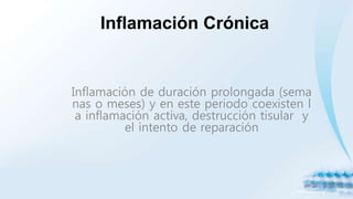 Inflamación Crónica
Inflamación de duración prolongada (sema
nas o meses) y en este periodo coexisten l
a inflamación activa, destrucción tisular y
el intento de reparación
 
