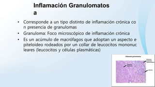Inflamación Granulomatos
a
• Corresponde a un tipo distinto de inflamación crónica co
n presencia de granulomas
• Granuloma: Foco microscópico de inflamación crónica
• Es un acúmulo de macrófagos que adoptan un aspecto e
piteloideo rodeados por un collar de leucocitos mononuc
leares (leucocitos y células plasmáticas)
 