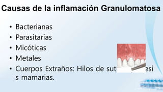 Causas de la inflamación Granulomatosa
• Bacterianas
• Parasitarias
• Micóticas
• Metales
• Cuerpos Extraños: Hilos de sutura, prótesi
s mamarias.
 