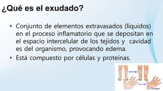 ¿Qué es el exudado?
• Conjunto de elementos extravasados (líquidos)
en el proceso inflamatorio que se depositan en
el espacio intercelular de los tejidos y cavidad
es del organismo, provocando edema.
• Está compuesto por células y proteínas.
 